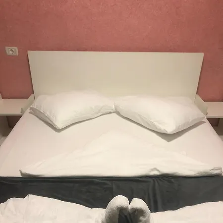 Guest house Ally *